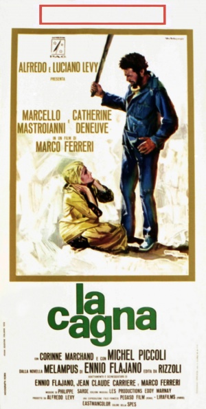 Liza