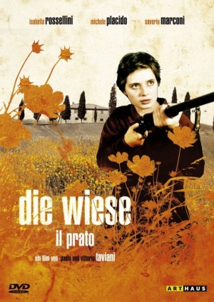 Il prato