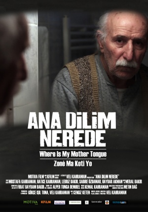 Ana dilim