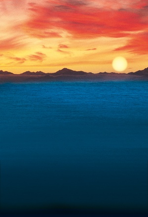 Textless