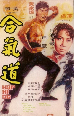 Lady Kung Fu