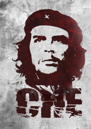 Che: Part One