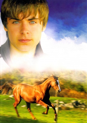 The Derby Stallion