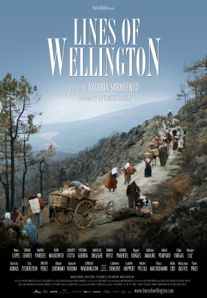 Linhas de Wellington