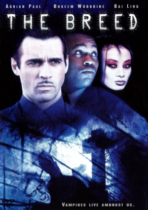 DVD