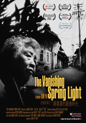 The Vanishing Spring Light