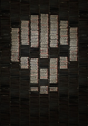 V/H/S