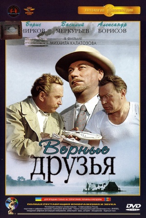 DVD
