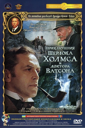 DVD