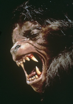 An American Werewolf in London