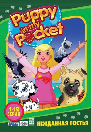 Cuccioli cerca amici nel regno di Pocketville