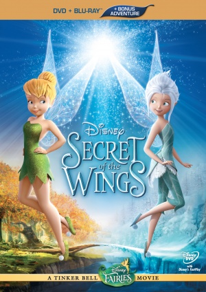 DVD