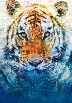 Life of Pi