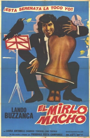 Il merlo maschio