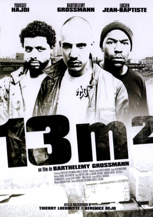 13 m²