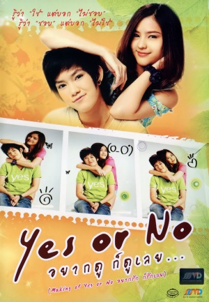 Yes or No: Yaak Rak Gaw Rak Loey