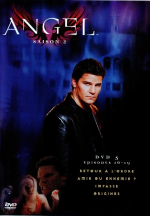 DVD