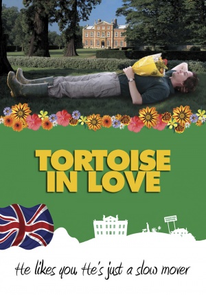 Tortoise in Love