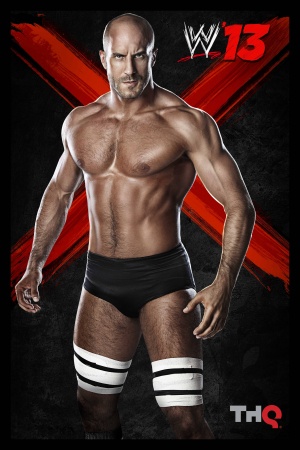 WWE '13