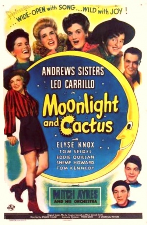 Moonlight and Cactus