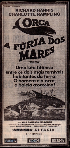 Orca
