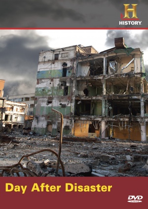 Day After Disaster