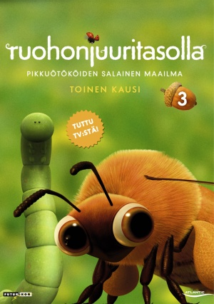 DVD