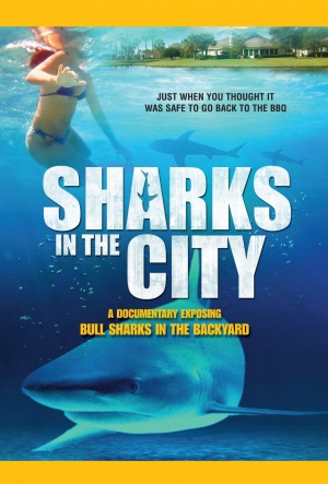 Sharks in the City: Bull Sharks in the Backyard