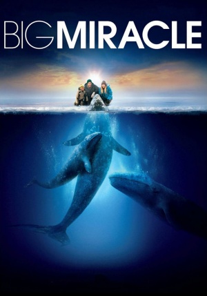 Big Miracle