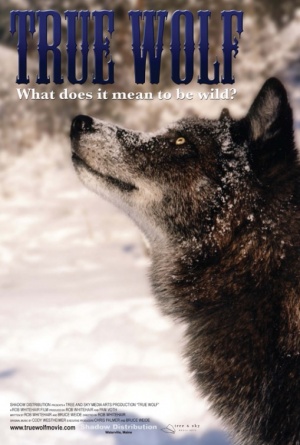 True Wolf