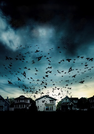 Dark Skies