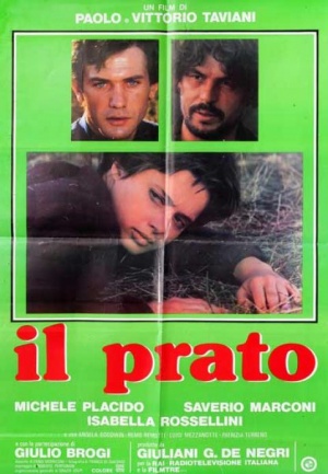 Il prato
