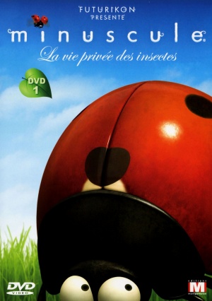 DVD