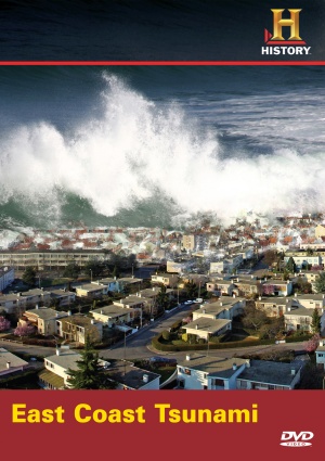 Mega Disasters