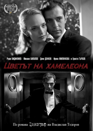 DVD
