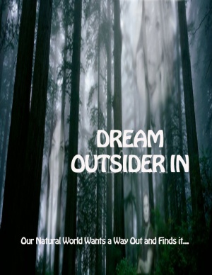 Dream - Outsider In