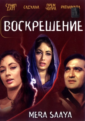 DVD