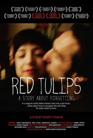 Red Tulips: A Story About Forgetting
