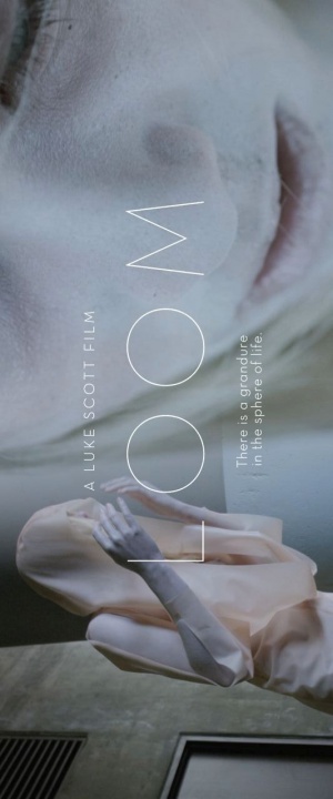 Loom
