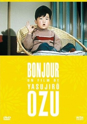 DVD