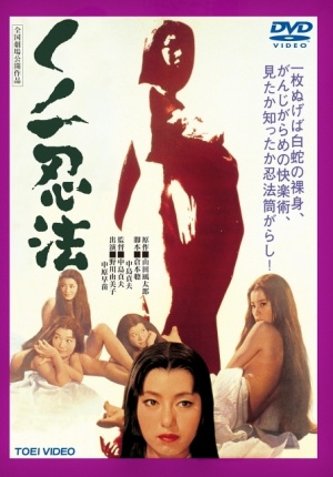 Kunoichi ninpo