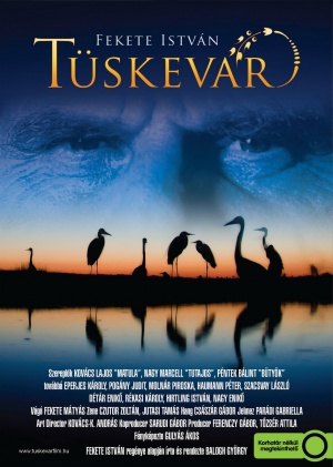 Tüskevár