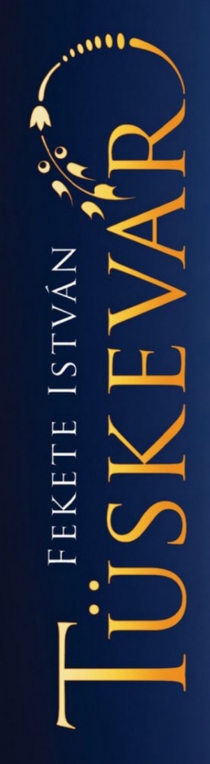 Tüskevár