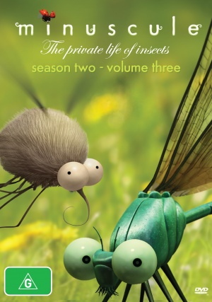 DVD