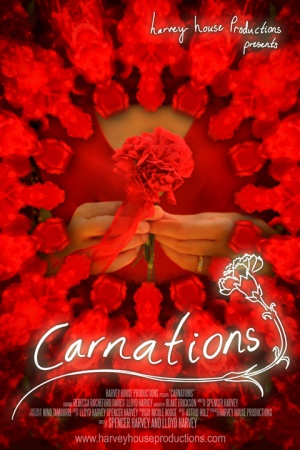 Carnations