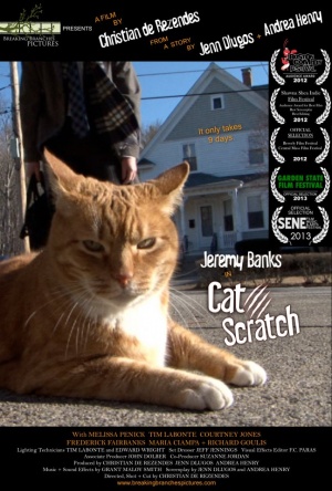 Cat Scratch