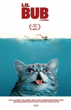 Lil Bub & Friendz