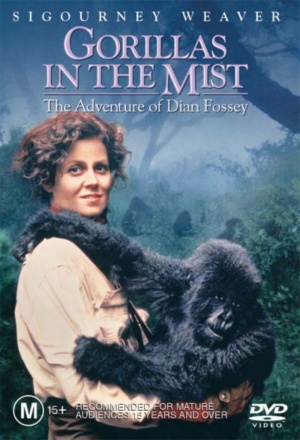 DVD