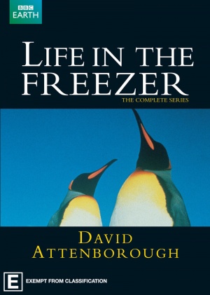Life in the Freezer