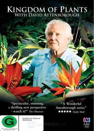 DVD